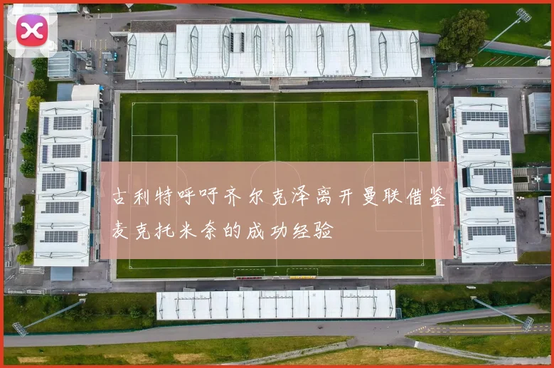 古利特呼吁齐尔克泽离开曼联借鉴麦克托米奈的成功经验