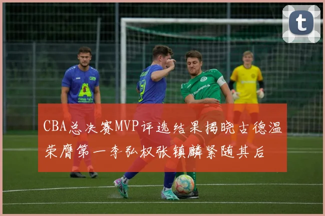 CBA总决赛MVP评选结果揭晓古德温荣膺第一李弘权张镇麟紧随其后