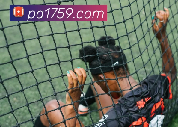 PA视讯平台生态图